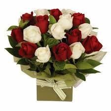 18 red roses bouquet