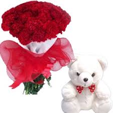 Carnations with teddy