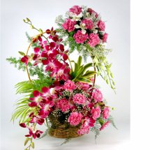 4 Purple orchids 15 pink carnations 2 Tier Hanging handle of basket