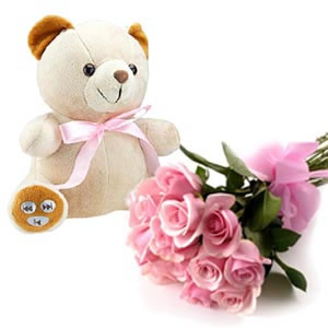Teddy+ 30 pink roses