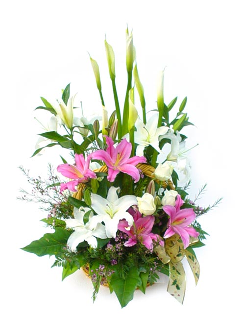 Pink white lilies arrangement