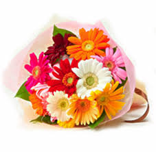 12 gerberas bouquet