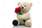 Teddy and a single rose